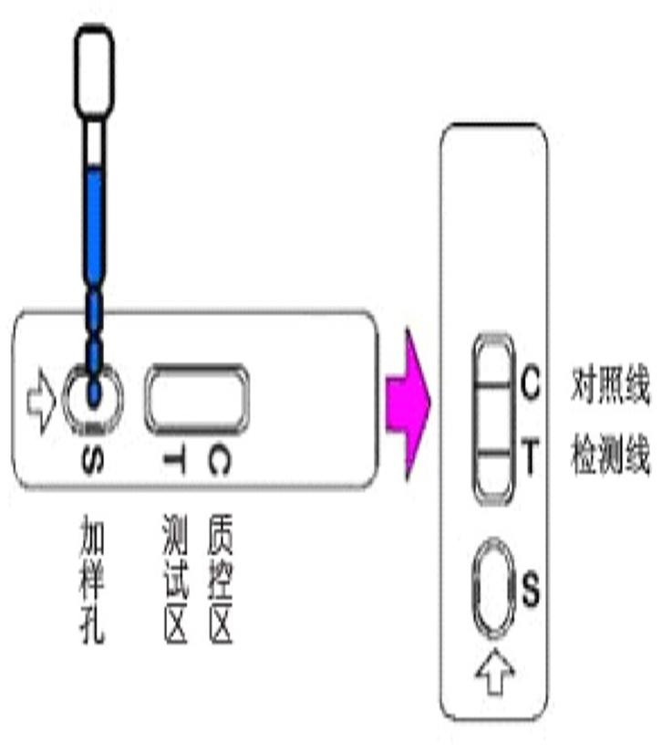 快速檢測(cè)卡