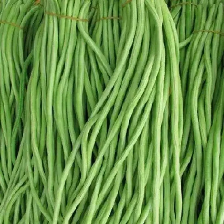 豇豆農(nóng)藥殘留攻堅治理